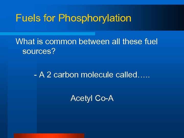 Fuels for Phosphorylation What is common between all these fuel sources? - A 2