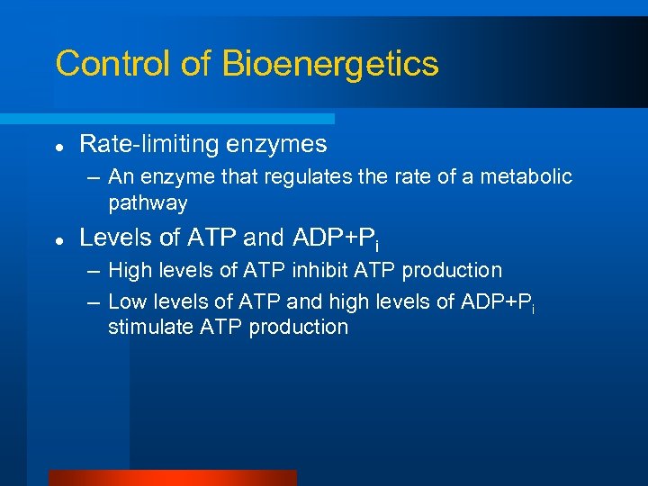 Control of Bioenergetics l Rate-limiting enzymes – An enzyme that regulates the rate of