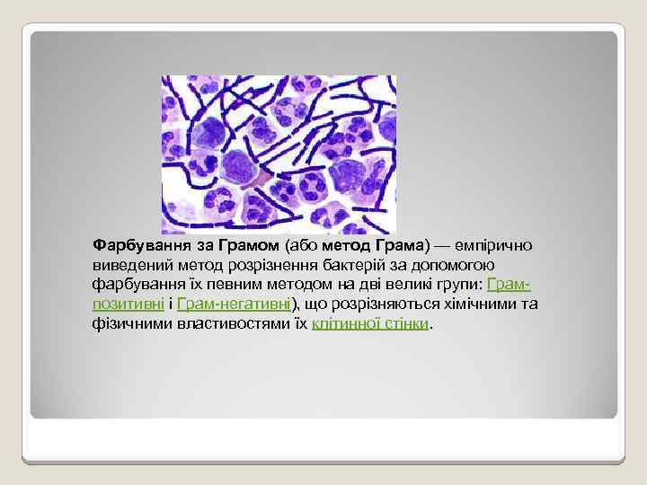 Фарбування за Грамом (або метод Грама) — емпірично виведений метод розрізнення бактерій за допомогою