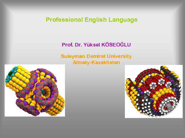 Professional English Language Prof. Dr. Yüksel KÖSEOĞLU Suleyman Demirel University Almaty-Kazakhstan 