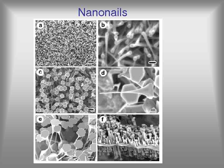 Nanonails 