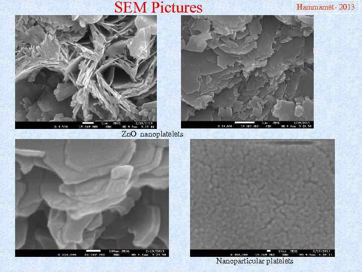 SEM Pictures Hammamet- 2013 Zn. O nanoplatelets Nanoparticular platelets 