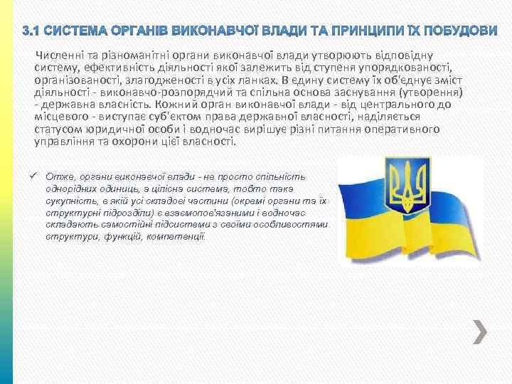 Численні та різноманітні органи виконавчої влади утворюють відповідну систему, ефективність діяльності якої залежить від