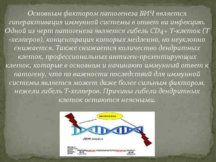 Основным фактором патогенеза ВИЧ является гиперактивация иммунной системы в ответ на инфекцию. Одной из