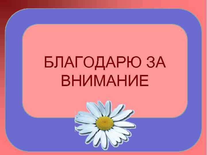 БЛАГОДАРЮ ЗА ВНИМАНИЕ 