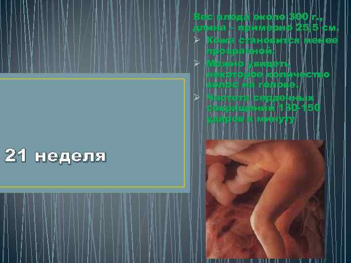 Вес плода около 300 г. , длина – примерно 25, 5 см. Ø Кожа