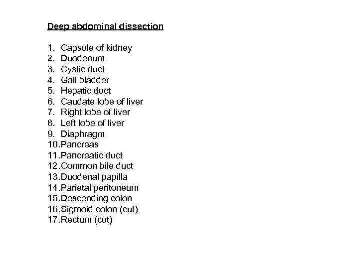 Deep abdominal dissection 1. Capsule of kidney 2. Duodenum 3. Cystic duct 4. Gall