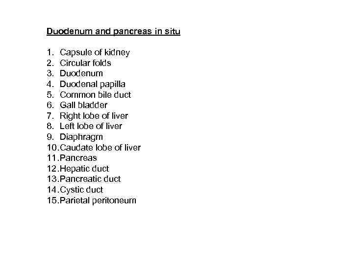 Duodenum and pancreas in situ 1. Capsule of kidney 2. Circular folds 3. Duodenum