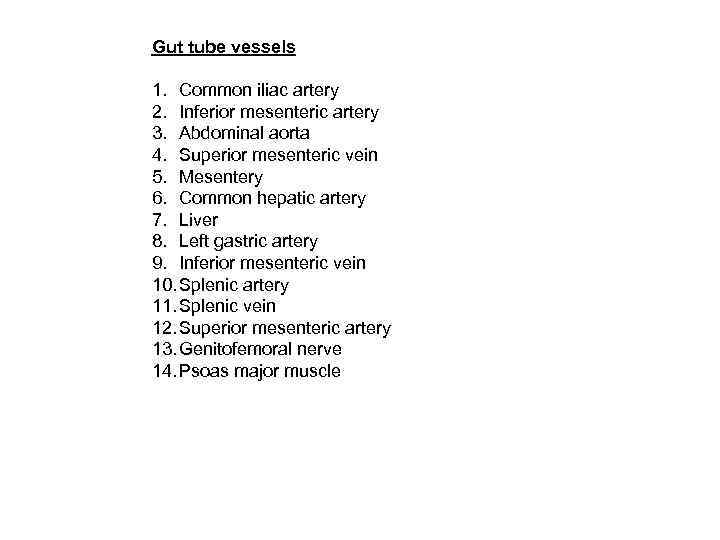 Gut tube vessels 1. Common iliac artery 2. Inferior mesenteric artery 3. Abdominal aorta