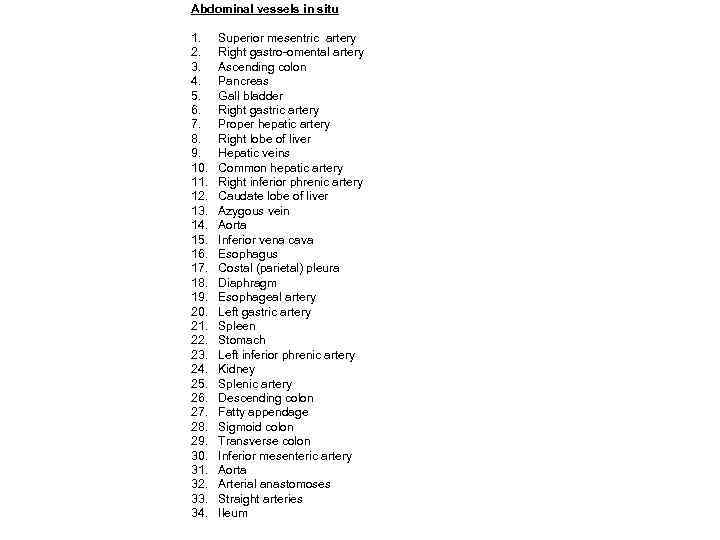 Abdominal vessels in situ 1. 2. 3. 4. 5. 6. 7. 8. 9. 10.