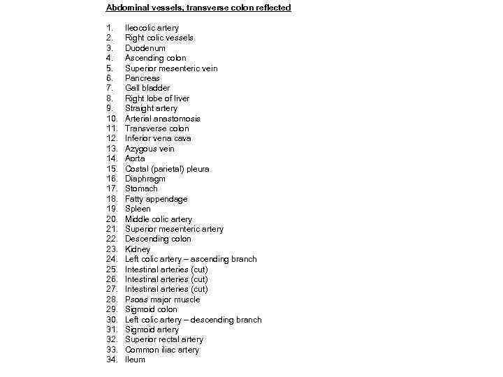 Abdominal vessels, transverse colon reflected 1. 2. 3. 4. 5. 6. 7. 8. 9.