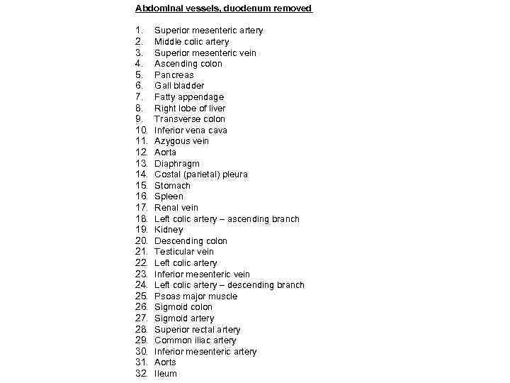 Abdominal vessels, duodenum removed 1. 2. 3. 4. 5. 6. 7. 8. 9. 10.