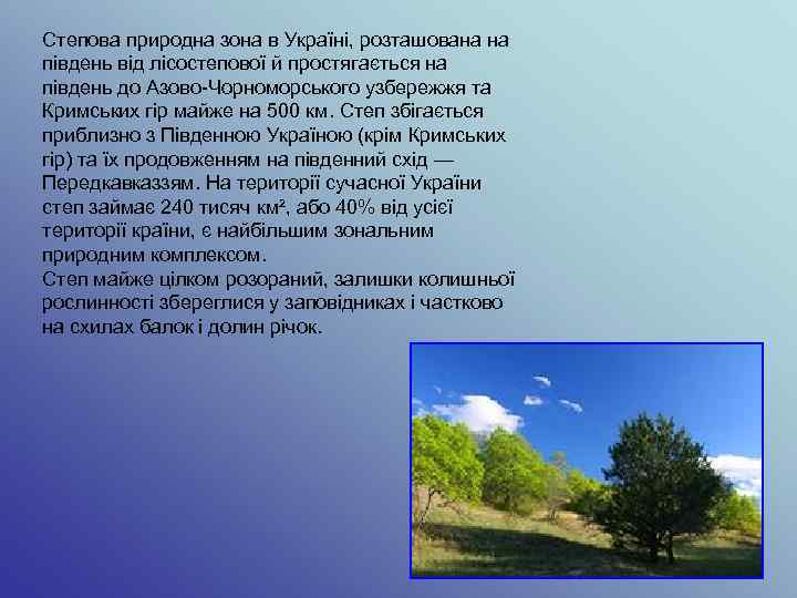 Степова природна зона в Україні, розташована на південь від лісостепової й простягається на південь