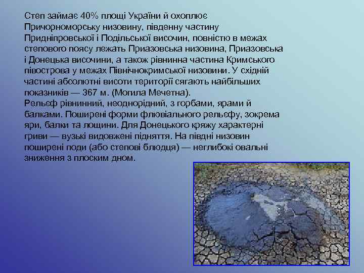 Степ займає 40% площі України й охоплює Причорноморську низовину, південну частину Придніпровської і Подільської