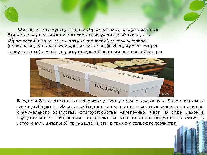 Органы власти муниципальных образований из средств местных бюджетов осуществляют финансирование учреждений народного образования школ