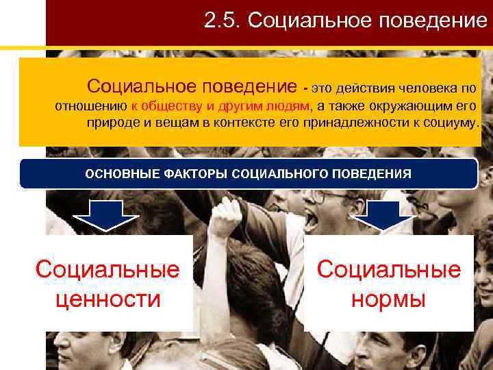 2. 5. Социальное поведение - это действия человека по отношению к обществу и другим