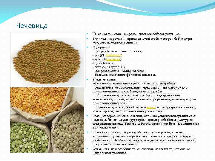 Чечевица Чечевица пищевая – широко известное бобовое растение. Его плод – короткий и приплюснутый