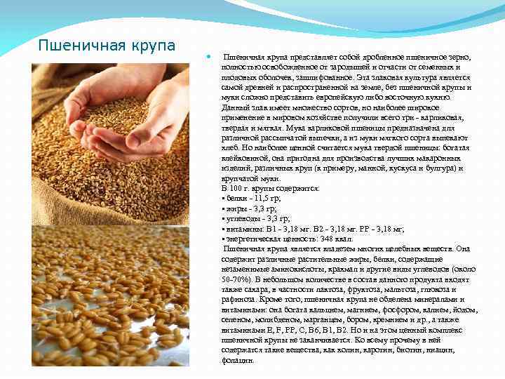 Пшеничная крупа представляет собой дробленное пшеничное зерно, полностью освобожденное от зародышей и отчасти от