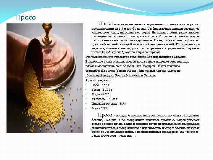 Просо Просо – однолетнее невысокое растение с мочковатыми корнями, проникающими на 1, 5 м