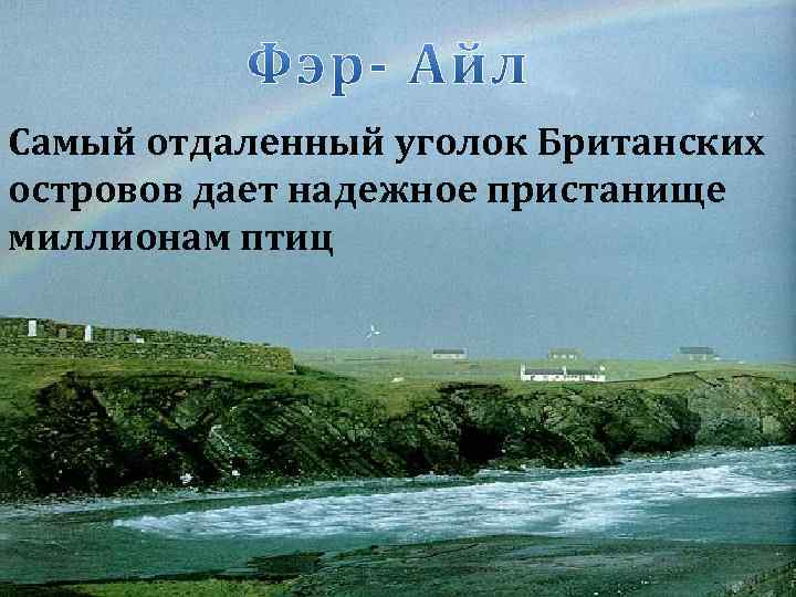 Самый отдаленный уголок Британских островов дает надежное пристанище миллионам птиц 