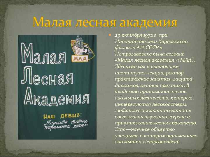 Малая лесная академия 29 октября 1972 г. при Институте леса Карельского филиала АН СССР