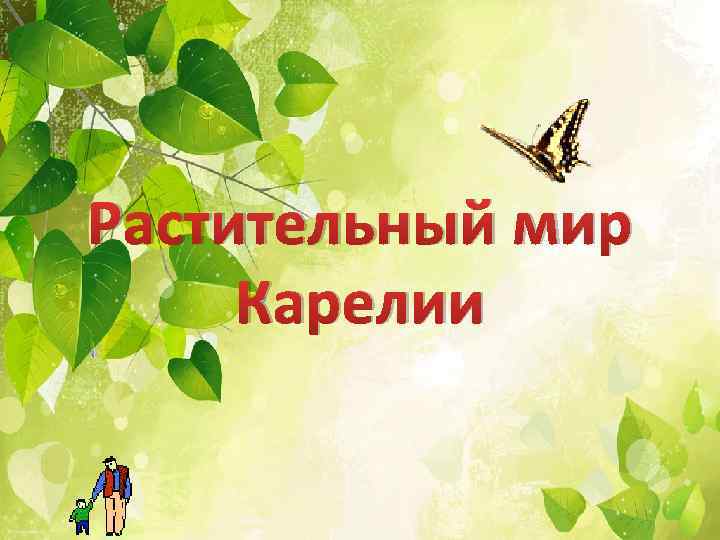 Растительный мир Карелии 