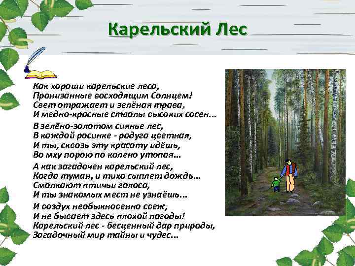 Карельский Лес Как хороши карельские леса, Пронизанные восходящим Солнцем! Свет отражает и зелёная трава,