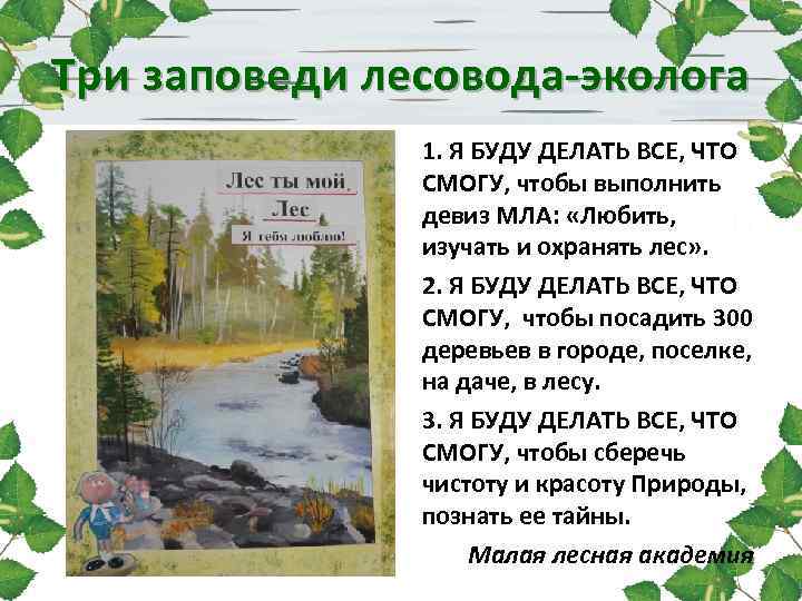 Три заповеди лесовода-эколога 1. Я БУДУ ДЕЛАТЬ ВСЕ, ЧТО СМОГУ, чтобы выполнить девиз МЛА: