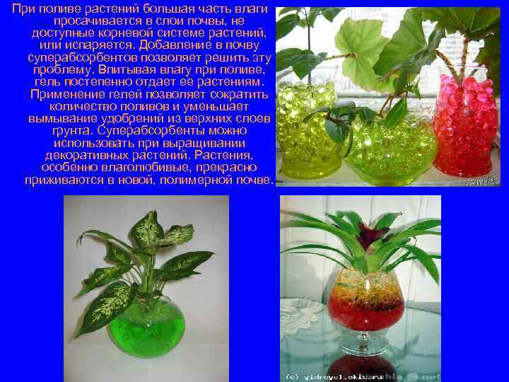 При поливе растений большая часть влаги просачивается в слои почвы, не доступные корневой системе