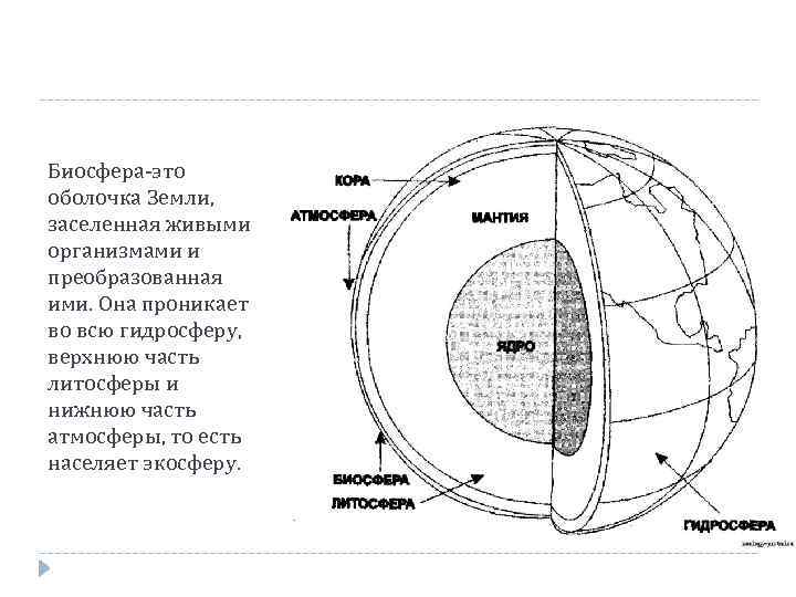 Оболочка земли заселенная живыми организмами. Схема связи оболочек земли. Схема связь биосферы с оболочками земли. Взаимодействие биосферы с другими оболочками. Взаимосвязь сфер земли схема.