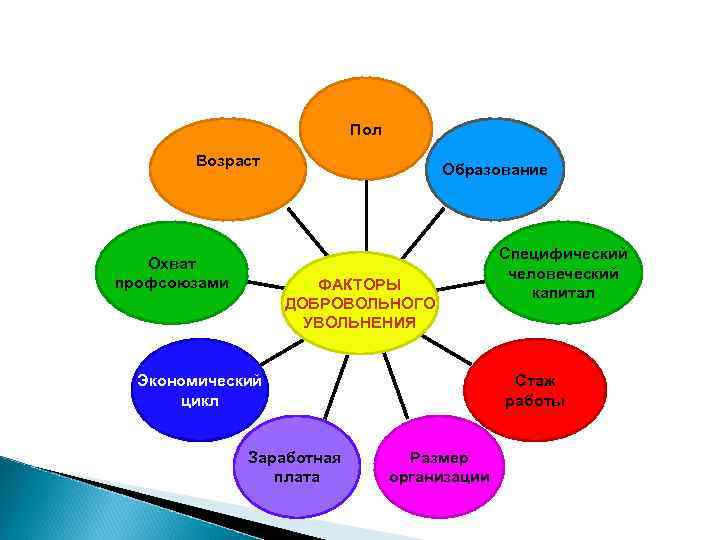 Пол Возраст Охват профсоюзами Образование ФАКТОРЫ ДОБРОВОЛЬНОГО УВОЛЬНЕНИЯ Экономический цикл Заработная плата Специфический человеческий