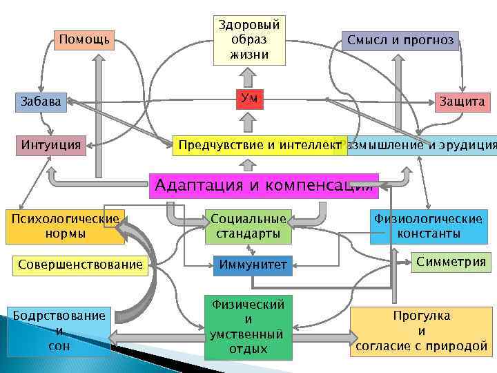 Помощь Забава Интуиция Здоровый образ жизни Смысл и прогноз Ум Защита Предчувствие и интеллект
