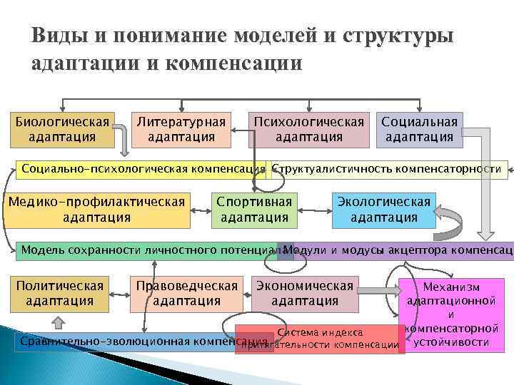 Виды и понимание моделей и структуры адаптации и компенсации Биологическая адаптация Литературная адаптация Психологическая