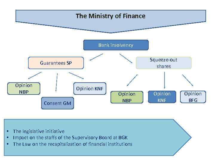 The Ministry of Finance Bank insolvency Squeeze-out shares Guarantees SP Opinion NBP Opinion KNF