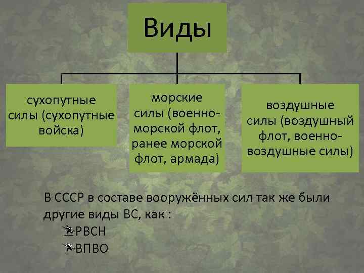 Виды сухопутные силы (сухопутные войска) морские силы (военноморской флот, ранее морской флот, армада) воздушные