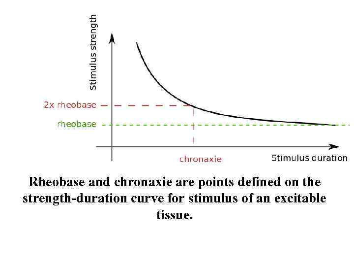 Rheobase and chronaxie are points defined on the strength-duration curve for stimulus of an