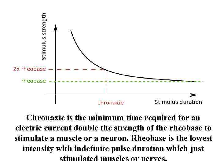 Chronaxie is the minimum time required for an electric current double the strength of