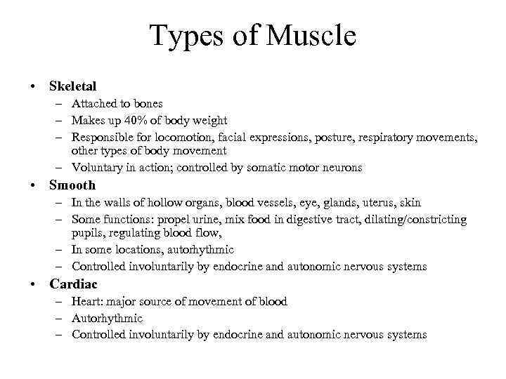 Types of Muscle • Skeletal – Attached to bones – Makes up 40% of