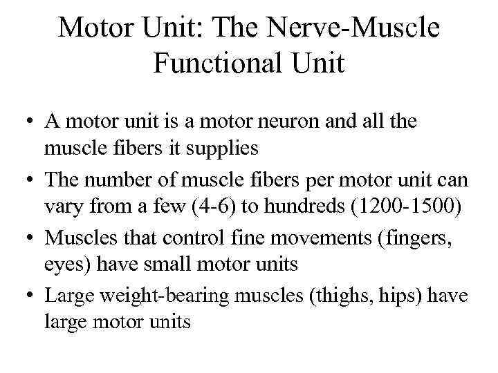 Motor Unit: The Nerve-Muscle Functional Unit • A motor unit is a motor neuron