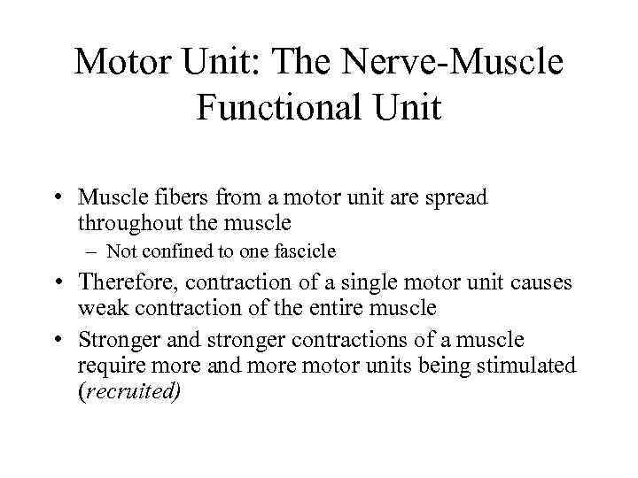 Motor Unit: The Nerve-Muscle Functional Unit • Muscle fibers from a motor unit are