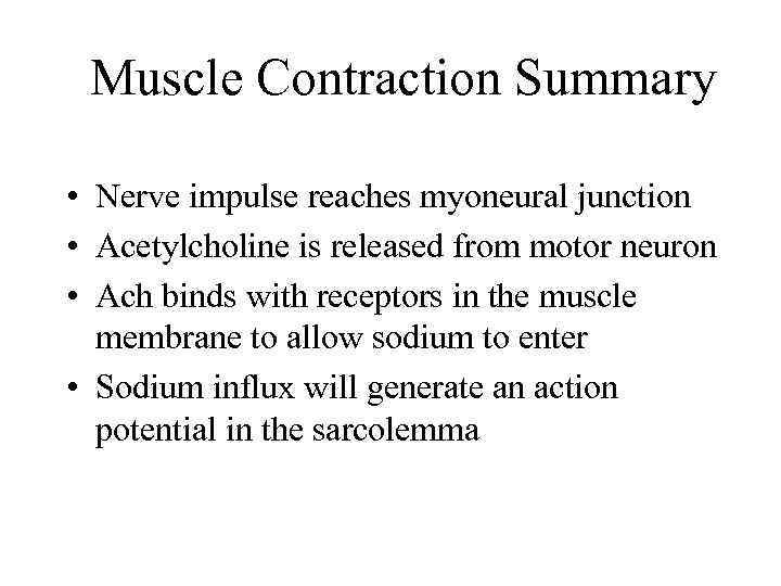 Muscle Contraction Summary • Nerve impulse reaches myoneural junction • Acetylcholine is released from