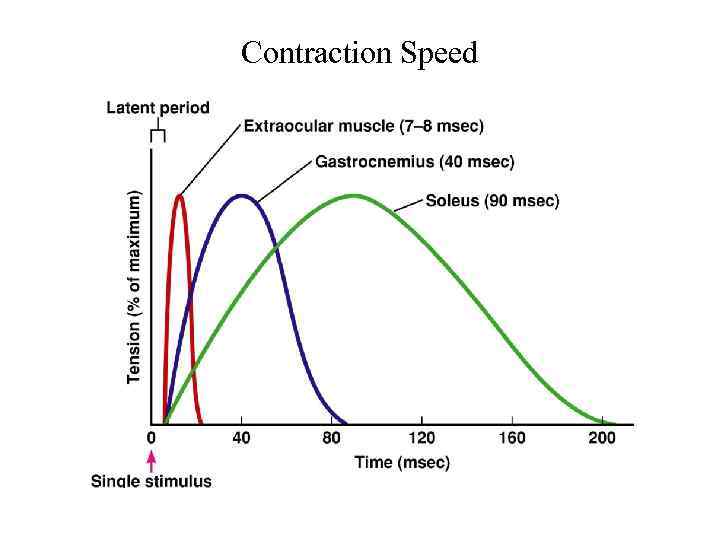 Contraction Speed 