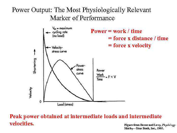 Power Output: The Most Physiologically Relevant Marker of Performance Power = work / time