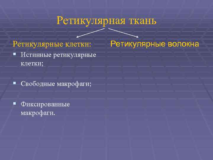 Ретикулярная ткань Ретикулярные клетки: § Истинные ретикулярные клетки; § Свободные макрофаги; § Фиксированные макрофаги.
