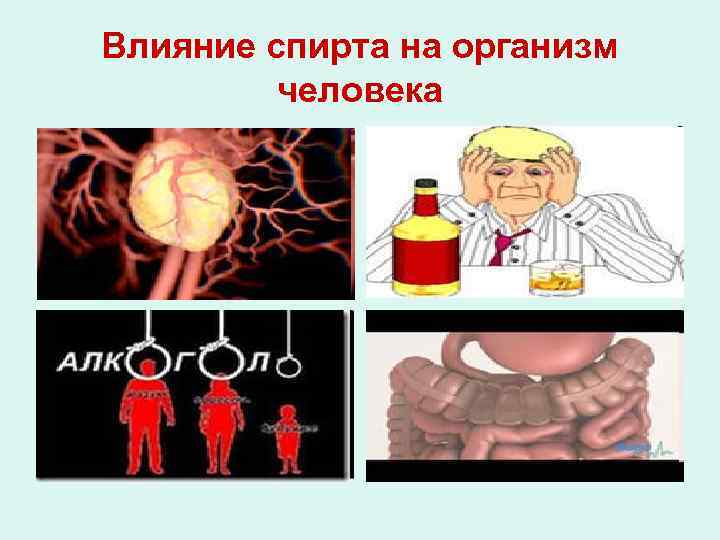 Влияние спирта на организм человека 