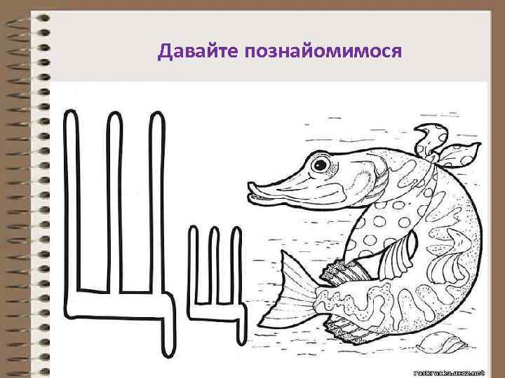 Давайте познайомимося 