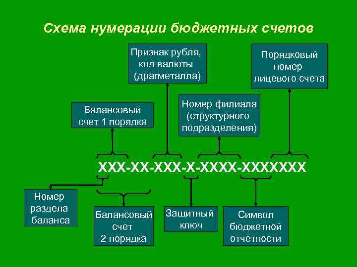 Процесс нумерации. Схема обозначения лицевых счетов. Порядок нумерации лицевых счетов. Схема нумерации лицевого счета кредитной организации. Счета первого и второго порядка.