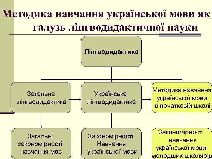 Методика навчання української мови як галузь лінгводидактичної науки Лінгводидактика Загальна лінгводидактика Українська лінгводидактика Методика