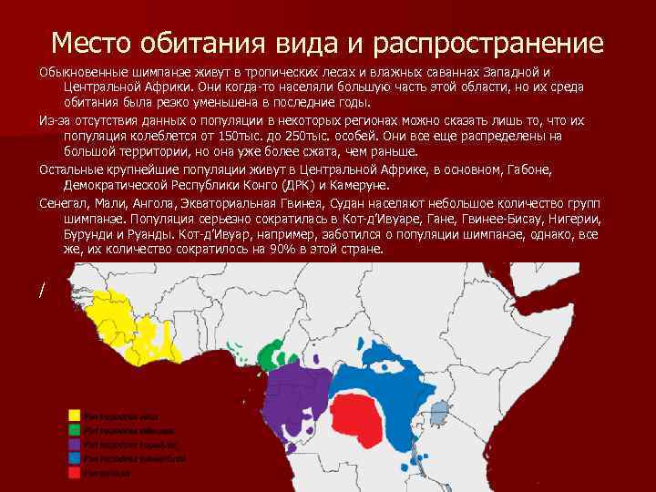 Место обитания вида и распространение Обыкновенные шимпанзе живут в тропических лесах и влажных саваннах