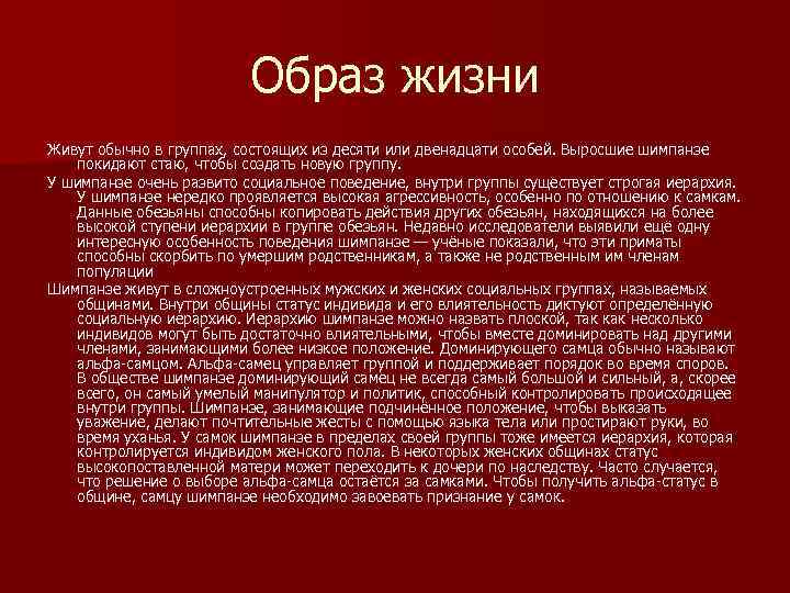 Образ жизни Живут обычно в группах, состоящих из десяти или двенадцати особей. Выросшие шимпанзе